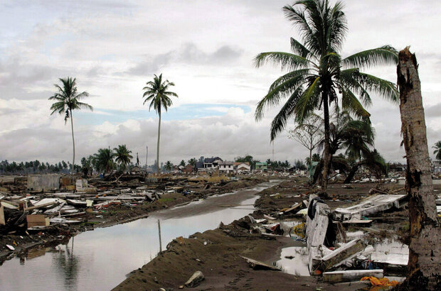 Tsunami: The Aftermath (2006) - photo 9