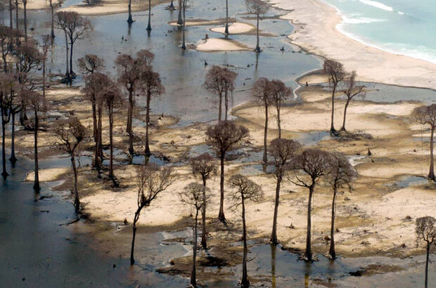 Tsunami: The Aftermath (2006) - photo 3