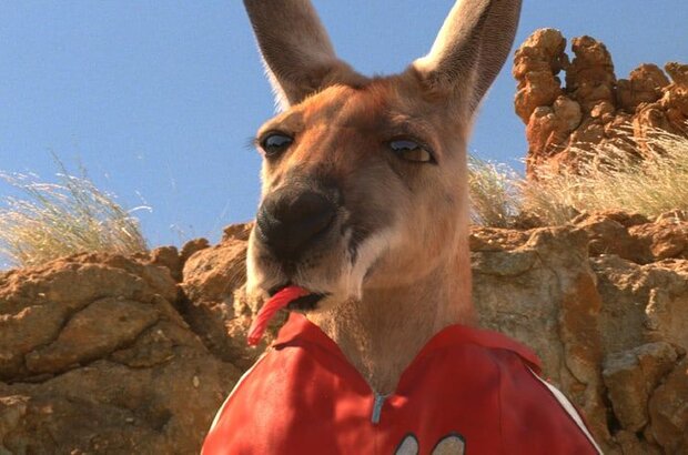 Kangaroo Jack (2003) - photo 3