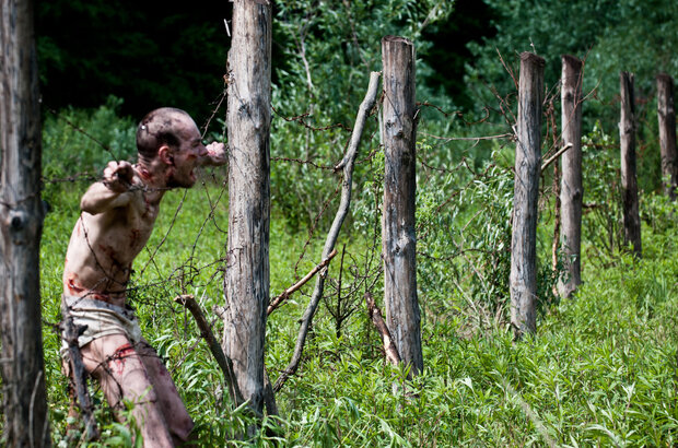 Open Grave (2013) - photo 6