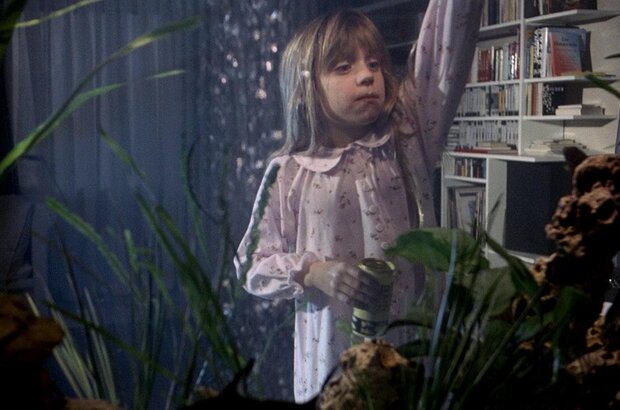 The Seventh Continent (1989) - photo 4
