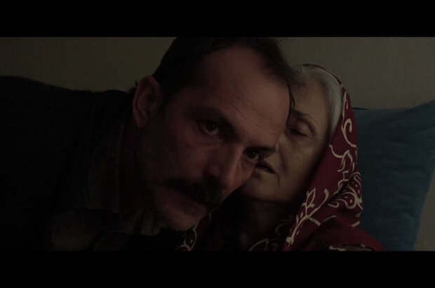 Halef (2018) - photo 2