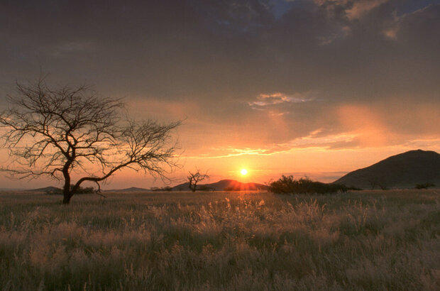 Magic Journey to Africa (2010) - photo 3