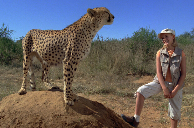 Magic Journey to Africa (2010) - photo 43