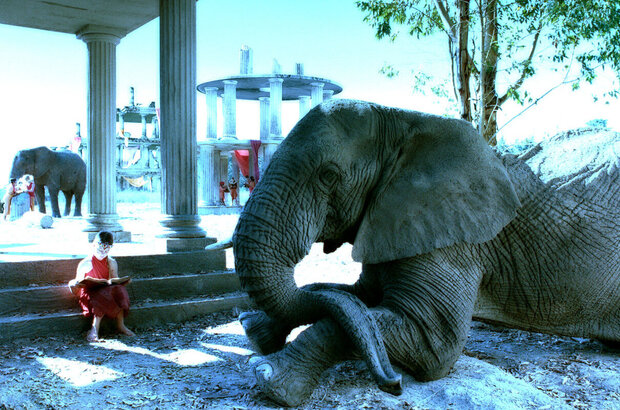 Magic Journey to Africa (2010) - photo 47