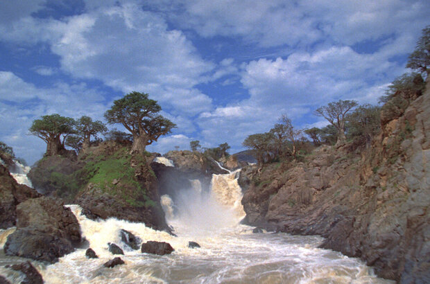 Magic Journey to Africa (2010) - photo 45