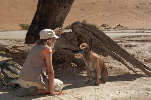 Magic Journey to Africa (2010) - photo 39