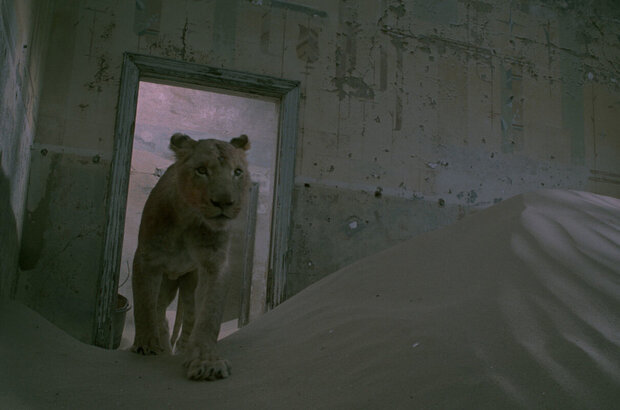 Magic Journey to Africa (2010) - photo 24