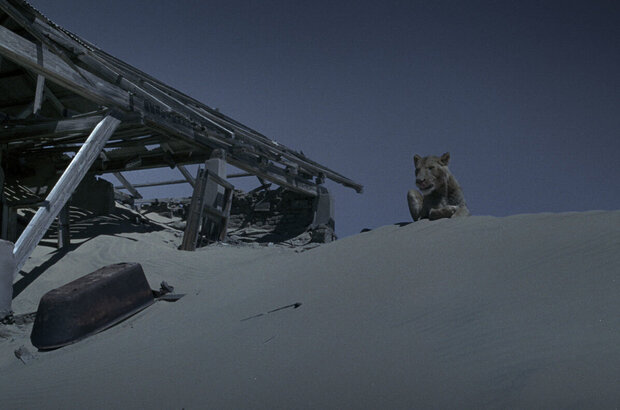 Magic Journey to Africa (2010) - photo 35