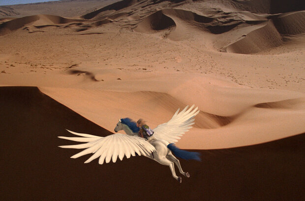 Magic Journey to Africa (2010) - photo 7