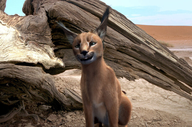 Magic Journey to Africa (2010) - photo 32