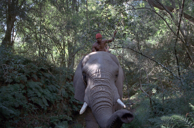 Magic Journey to Africa (2010) - photo 34