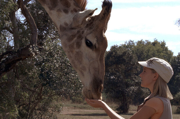 Magic Journey to Africa (2010) - photo 1