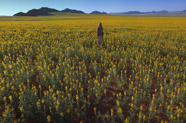 Magic Journey to Africa (2010) - photo 26