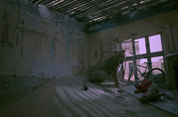 Magic Journey to Africa (2010) - photo 2