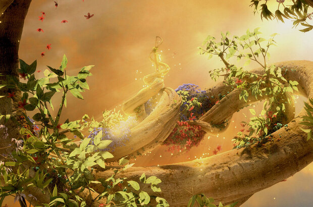 Magic Journey to Africa (2010) - photo 29