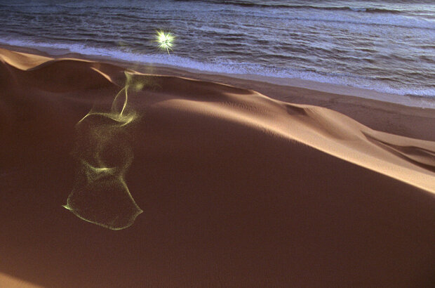 Magic Journey to Africa (2010) - photo 25
