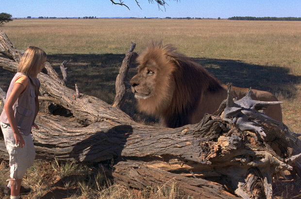 Magic Journey to Africa (2010) - photo 19