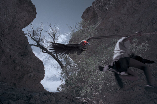 Magic Journey to Africa (2010) - photo 5