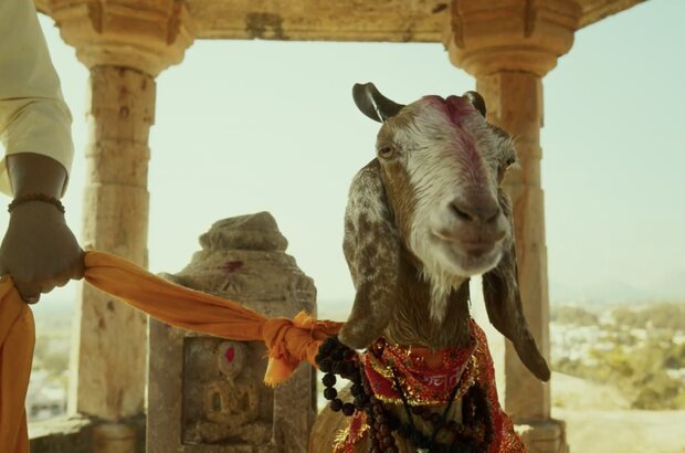 Jayeshbhai Jordaar (2022) - photo 5
