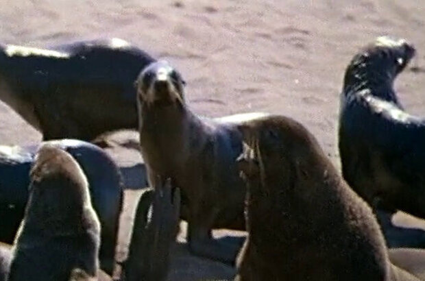 Glass beads (1978) - photo 11