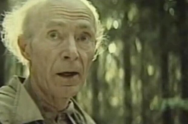 Vyyti iz lesa na polyanu (1987) - photo 5