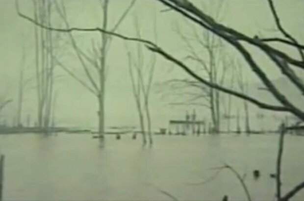 Vyyti iz lesa na polyanu (1987) - photo 8