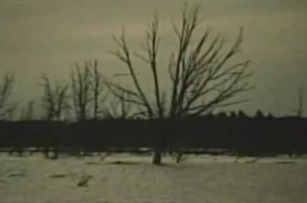 Vyyti iz lesa na polyanu (1987) - photo 2