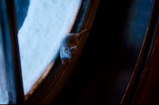 Forgotten Christmas (2019) - photo 2