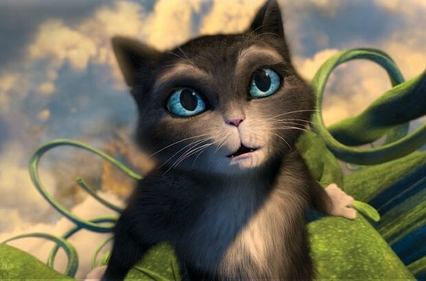 Puss in Boots (2011) - photo 13