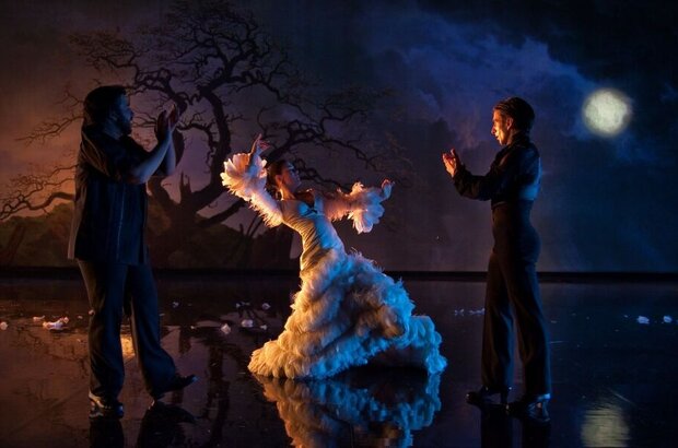 Flamenco, Flamenco (2010) - photo 5