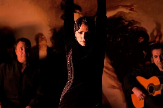 Flamenco, Flamenco (2010) - photo 1