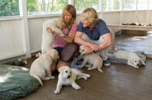 Marley & Me (2008) - photo 2