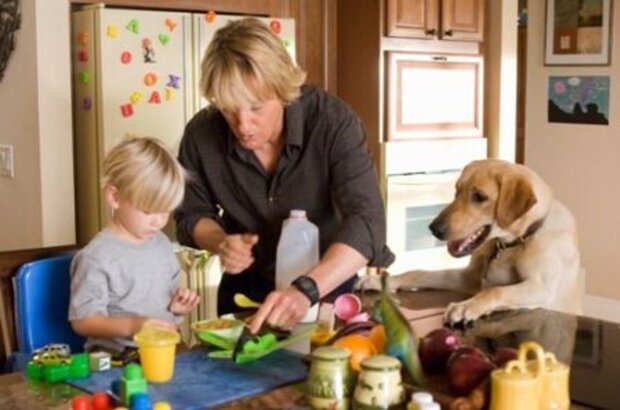 Marley & Me (2008) - photo 6