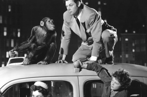 Tarzan's New York Adventure (1942) - photo 3