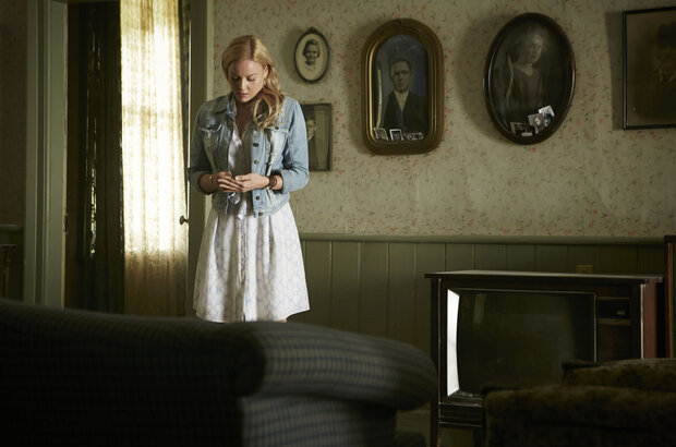 Lavender (2016) - photo 3