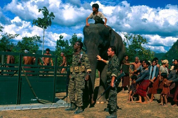 Operation Dumbo Drop (1995) - photo 3