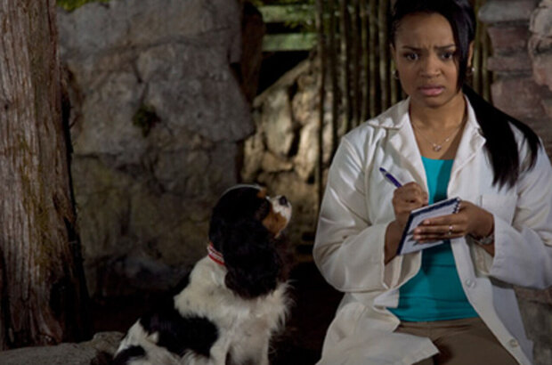 Dr. Dolittle: Tail to the Chief (2008) - photo 2