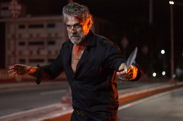 General Commander (2019) - photo 6