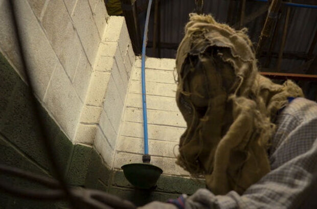 Bride of Scarecrow (2019) - photo 11