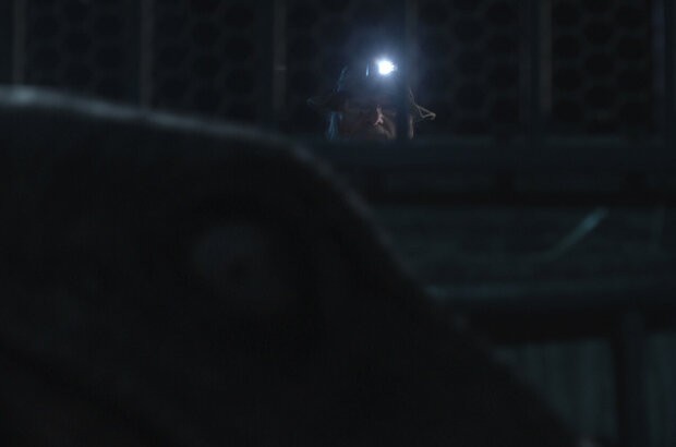 Claw (2021) - photo 14