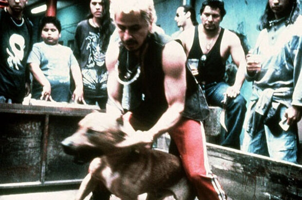 Amores Perros (2000) - photo 4