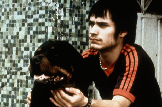 Amores Perros (2000) - photo 1