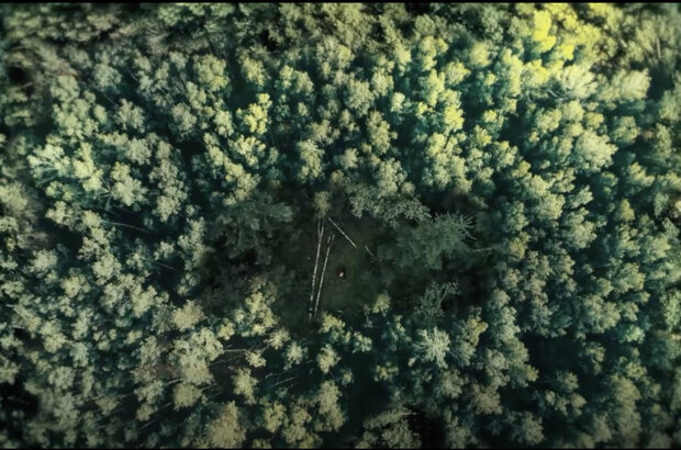 Big/Bad/Wolf (2023) - photo 6
