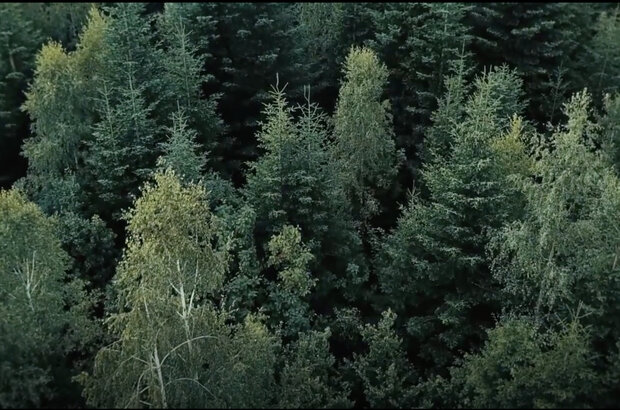 Big/Bad/Wolf (2023) - photo 9