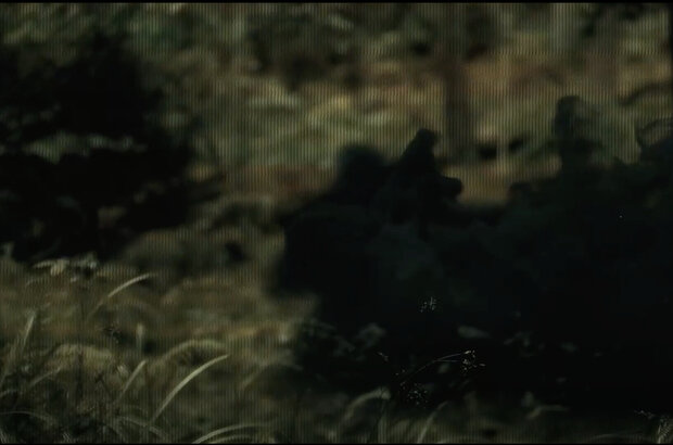 Big/Bad/Wolf (2023) - photo 8