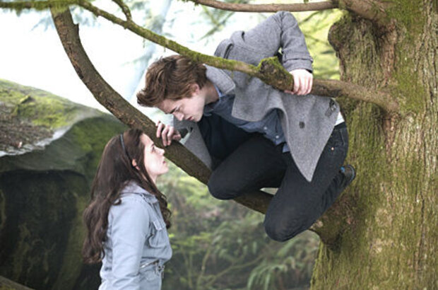 Twilight (2008) - photo 2