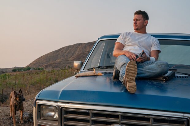Dog (2022) - photo 8