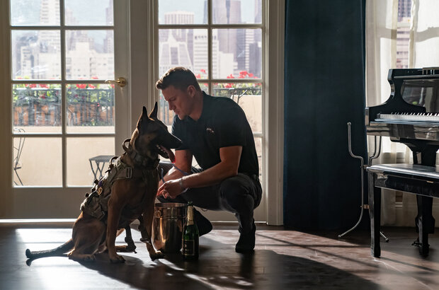 Dog (2022) - photo 2