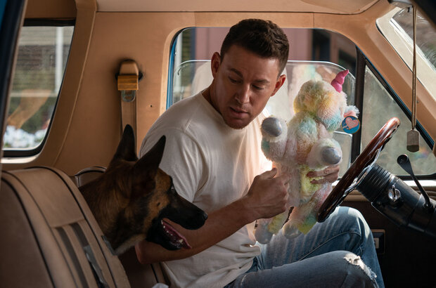 Dog (2022) - photo 6